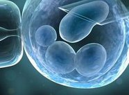 子宫萎缩可以在湘潭试管生孩子吗？附操作流程及注意事项