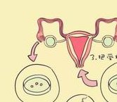 精华-哈萨克斯坦三代试管婴儿的成功率是多少？